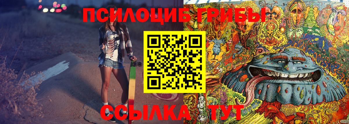Псилоцибиновые грибы GOLDEN TEACHER Артём